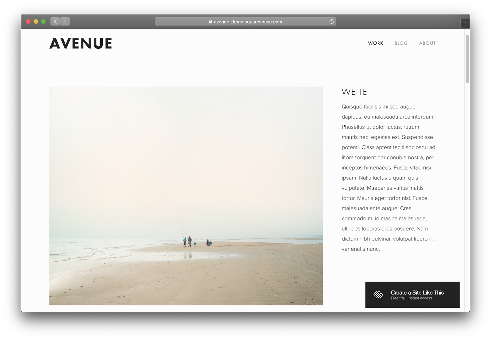 The Best Squarespace Template for Every Purpose Pro Designer Advice